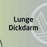 Qigong Seminar - Lunge Dickdarm Funktionskreis