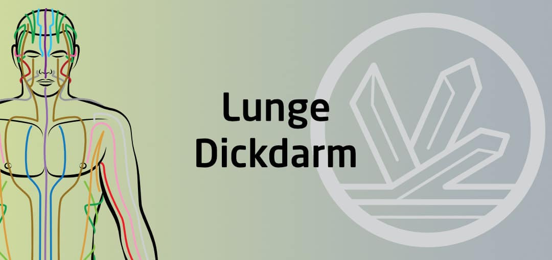 Qigong Seminar - Lunge Dickdarm Funktionskreis