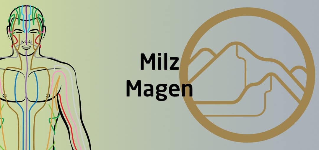 Qigong Seminar - Milz Magen Funktionskreis