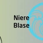Qigong Seminar - Niere Blase Funktionskreis