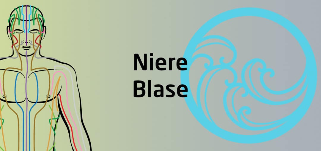 Qigong Seminar - Niere Blase Funktionskreis