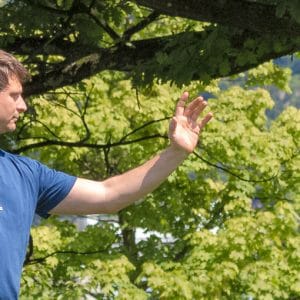 Taijiquan - Tai Chi Chuan - Michael Bouda