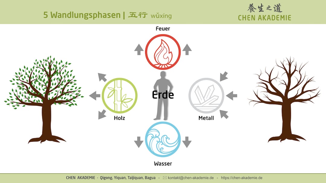 Die 5 Elemente | Wasser - Holz - Feuer - Erde - Metall