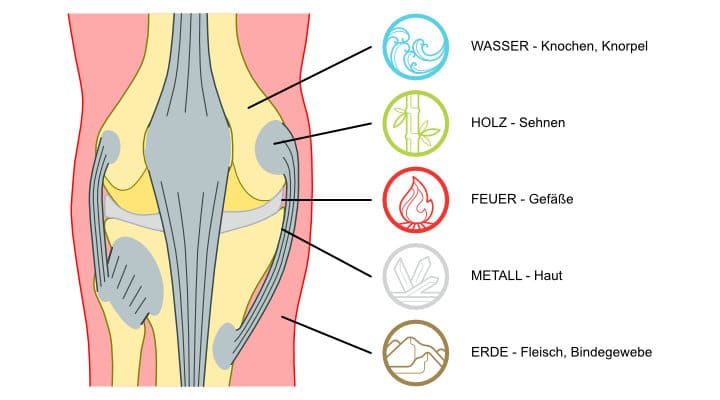 Die 5 Elemente | Wasser - Holz - Feuer - Erde - Metall