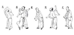 Qigong- Spiel der 5 Tiere