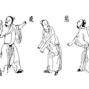 Qigong- Spiel der 5 Tiere