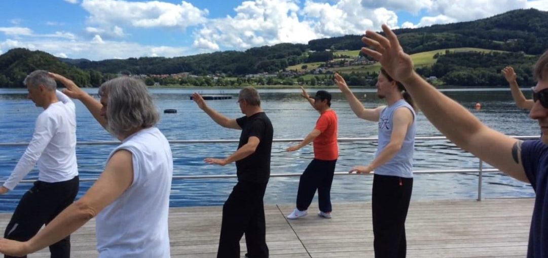 Die Handform des Yang-Stil Taijiquan